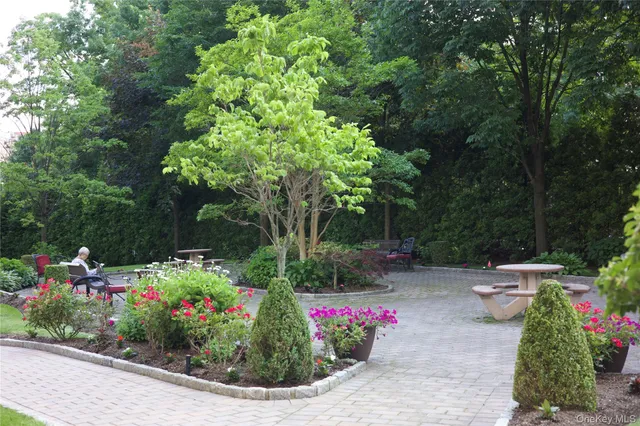 a view of a garden with flowers