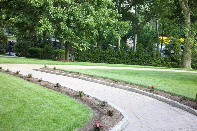 a view of a park with of trees