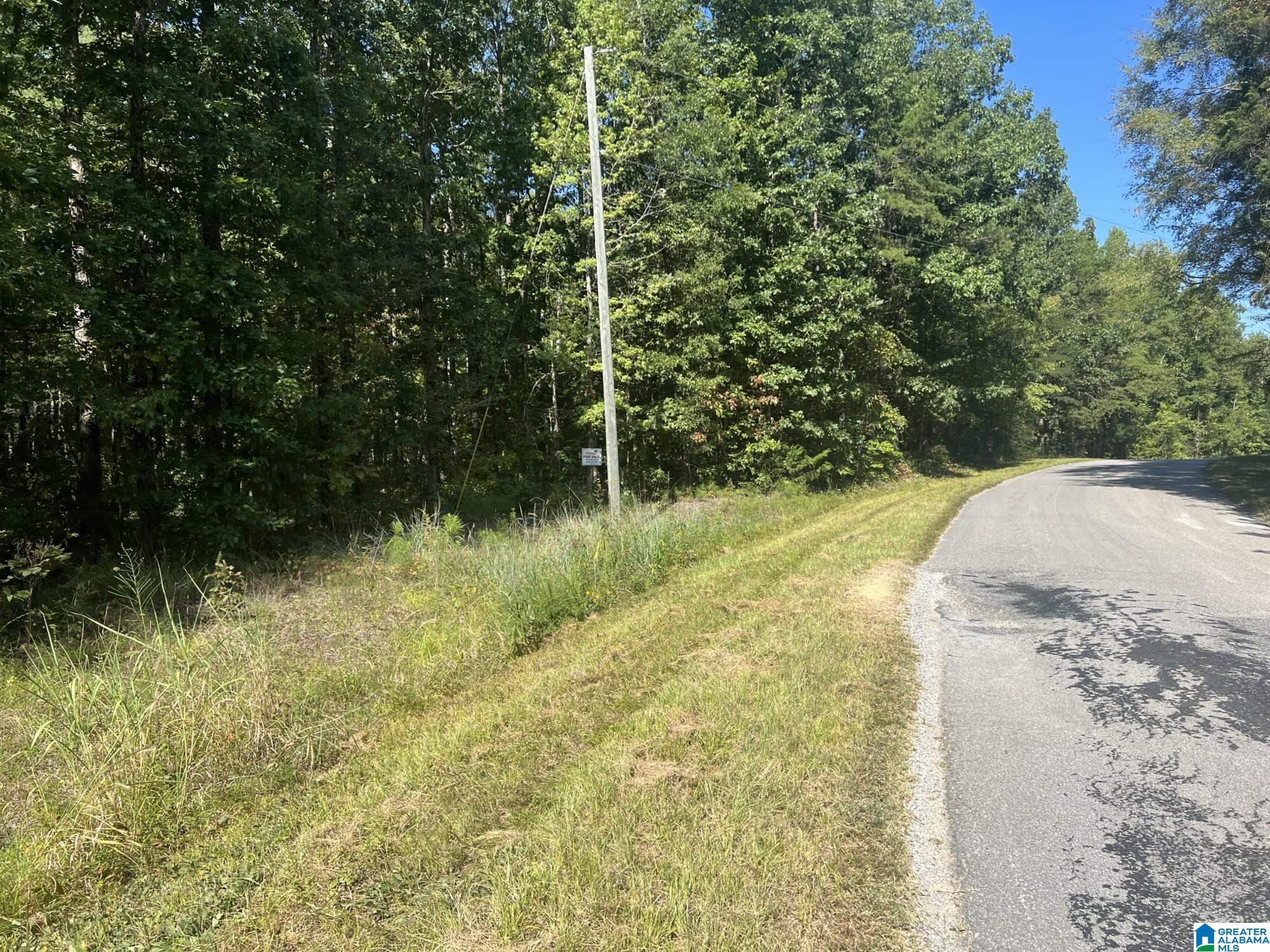0 County Road 95 Montevallo, AL 35115 - Photo 8 of 10