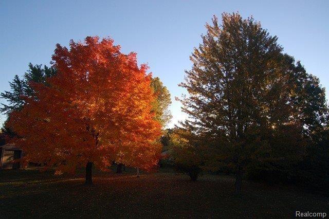 3485 Metamora Road Metamora, MI 48455 - Photo 22 of 22 DSC_1001 (Copy).JPG