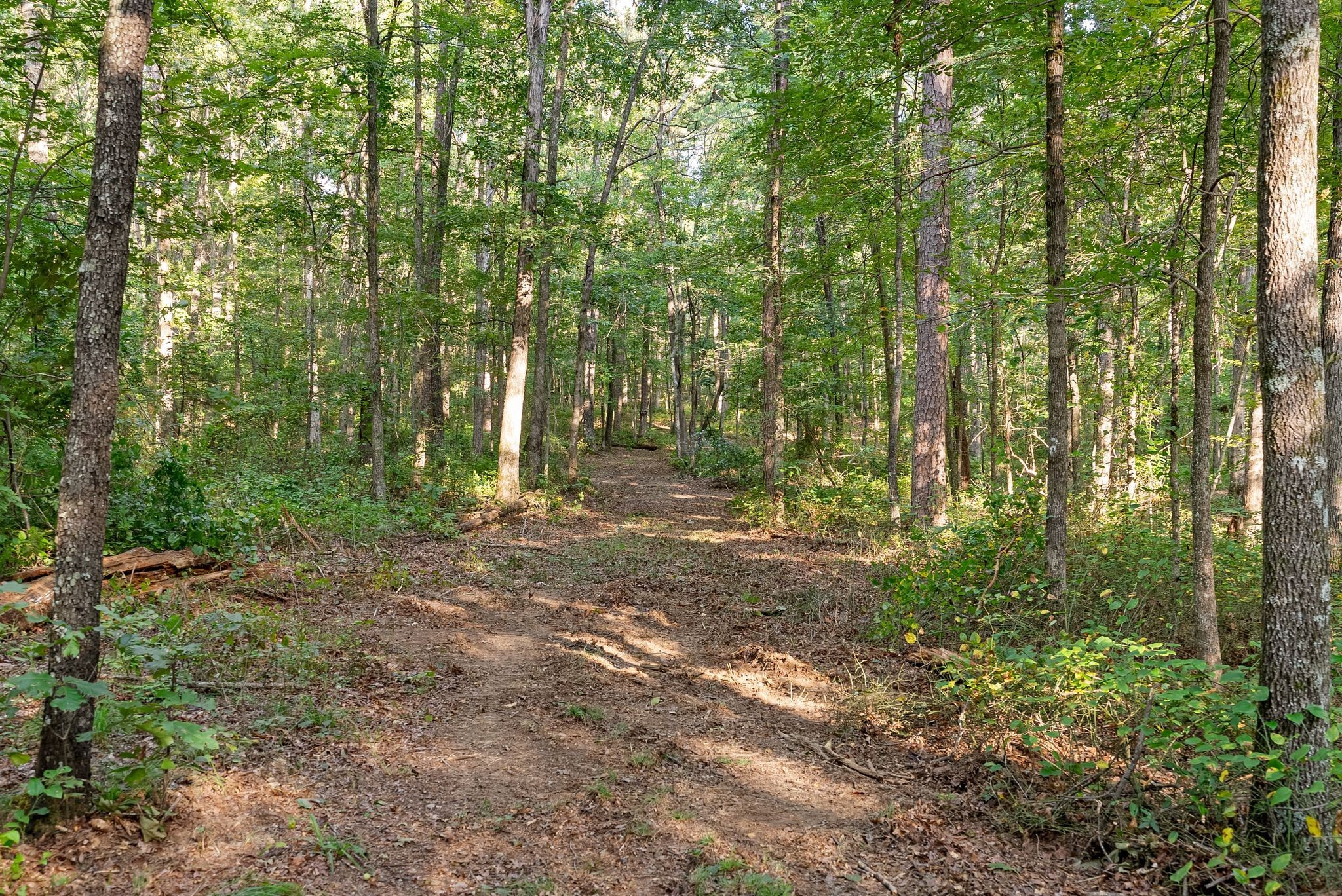 6065 Spencer Road Nunnelly, TN 37137 - Photo 14 of 94 Gallery Image 14