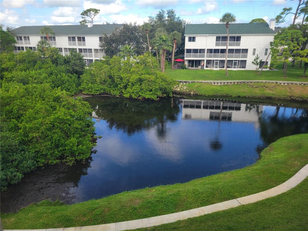 9976 Indian Key Trail, Unit 7 Seminole, FL 33776 - Photo 12 of 16 a view of a house with a yard and a large pool