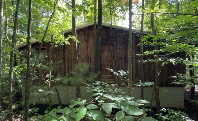 a view of a golf course with a yard