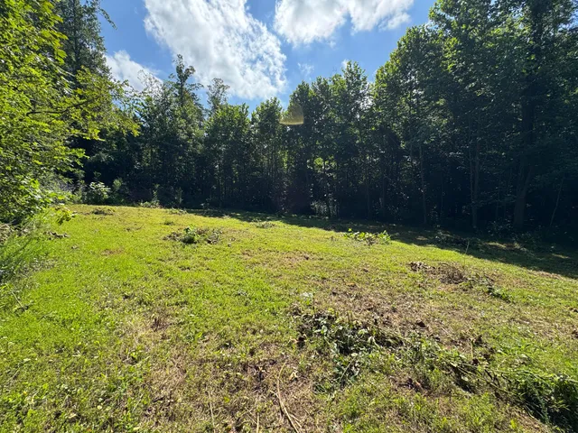a view of a yard of the house