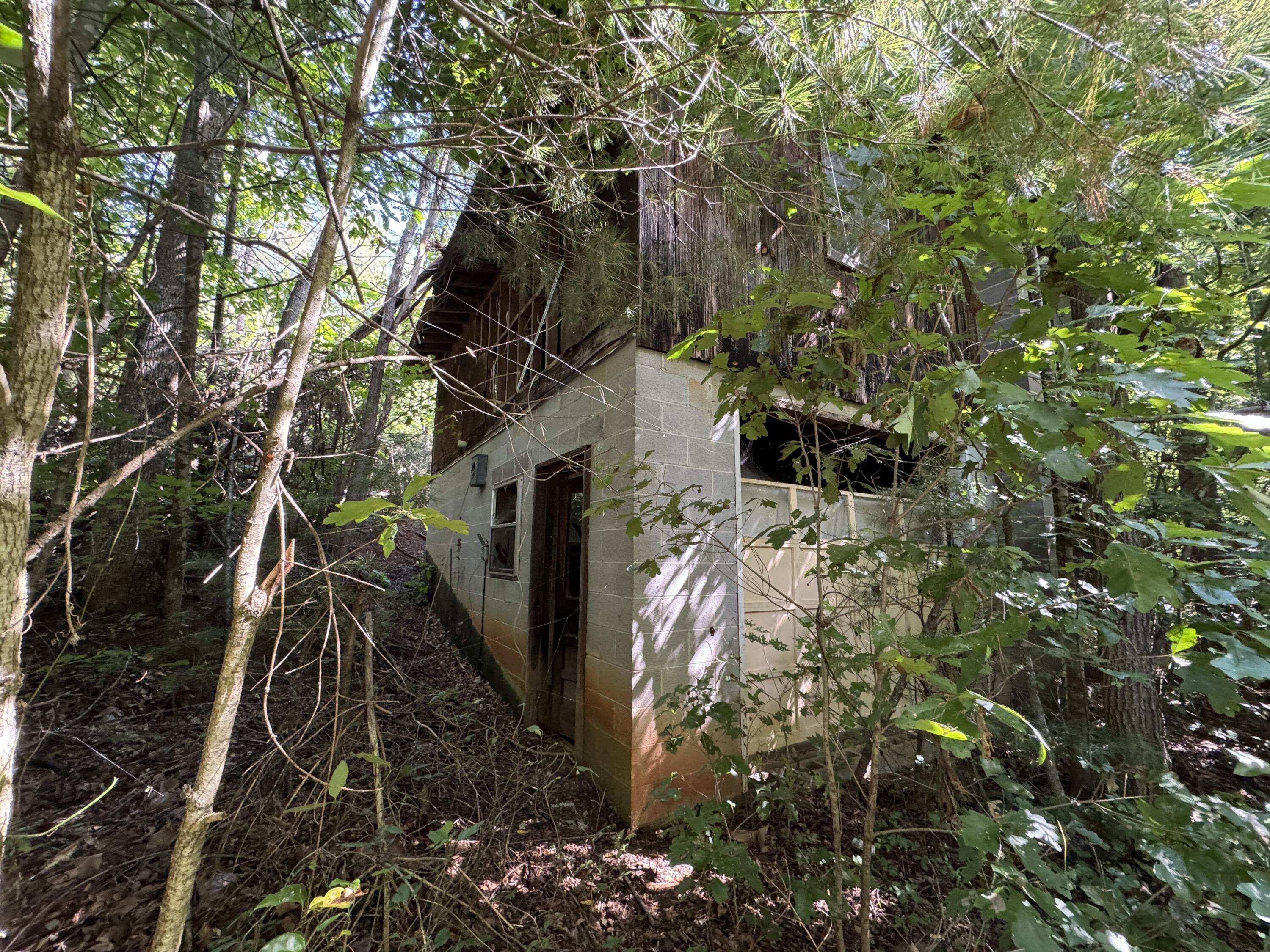 100 Foothills Road Callaway, VA 24067 - Photo 8 of 10 a view of a yard of the house