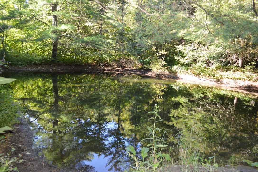 2708 Herrick Brook Road Pawlet, VT 05761 - Photo 35 of 40 Gallery Image 35