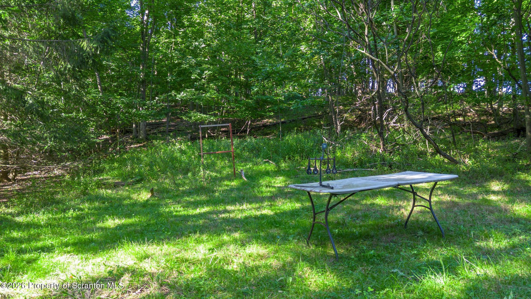 1328 Cortez Road Lake Ariel, PA 18436 - Photo 19 of 69 DJI_0050-3