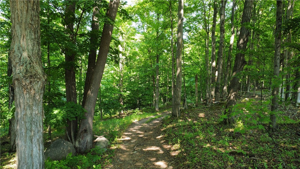 South Centenary Road Sodus, NY 14551 - Photo 1 of 30