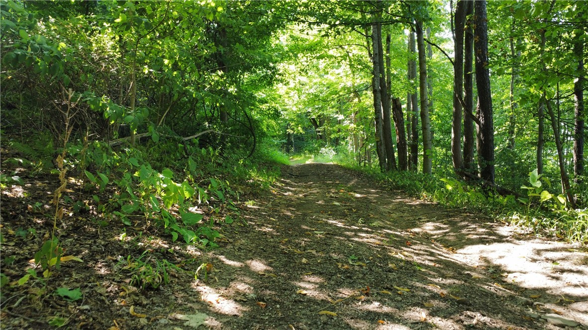 South Centenary Road Sodus, NY 14551 - Photo 11 of 30