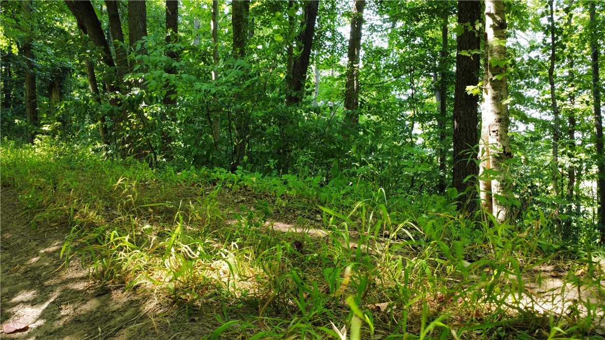 South Centenary Road Sodus, NY 14551 - Photo 12 of 30