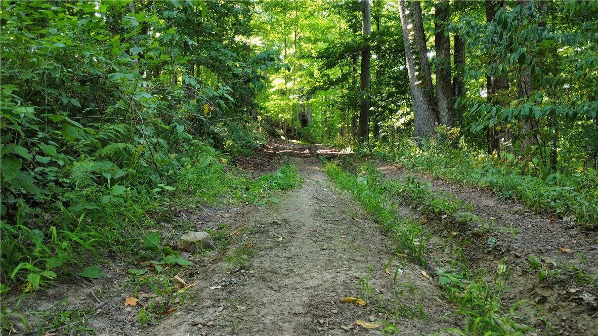 South Centenary Road Sodus, NY 14551 - Photo 13 of 30