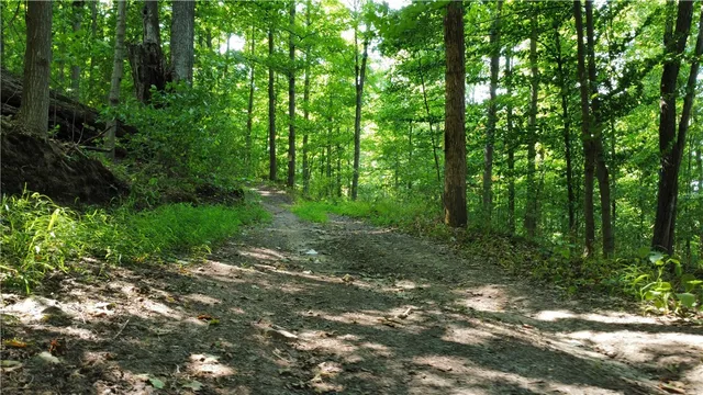 $40,000 | South Centenary Road, Sodus, NY 14551