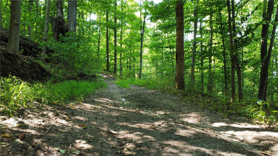 South Centenary Road Sodus, NY 14551 - Photo 14 of 30