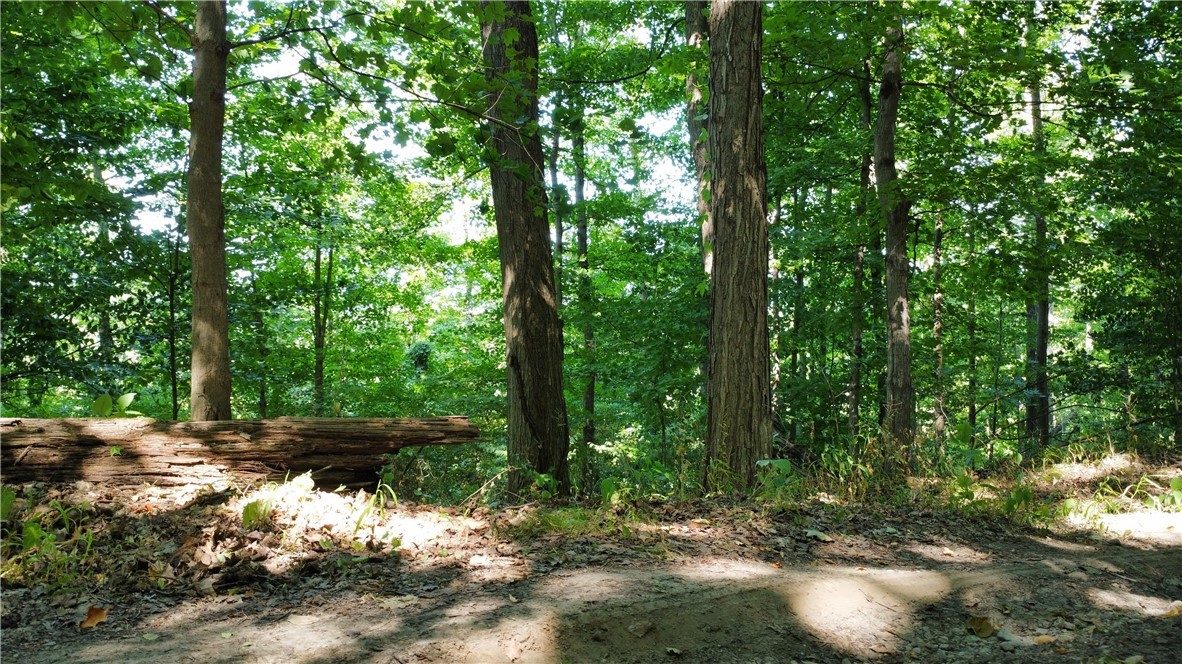 South Centenary Road Sodus, NY 14551 - Photo 15 of 30