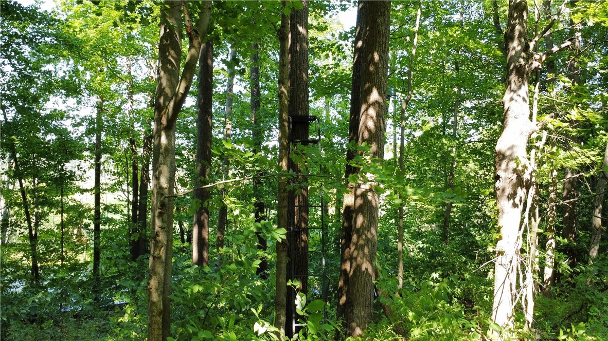 South Centenary Road Sodus, NY 14551 - Photo 17 of 30