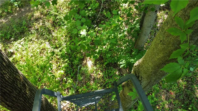 $40,000 | South Centenary Road, Sodus, NY 14551