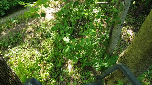 $40,000 | South Centenary Road, Sodus, NY 14551