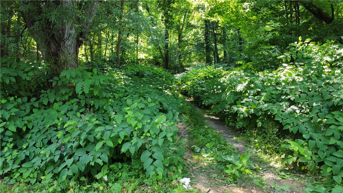 South Centenary Road Sodus, NY 14551 - Photo 20 of 30