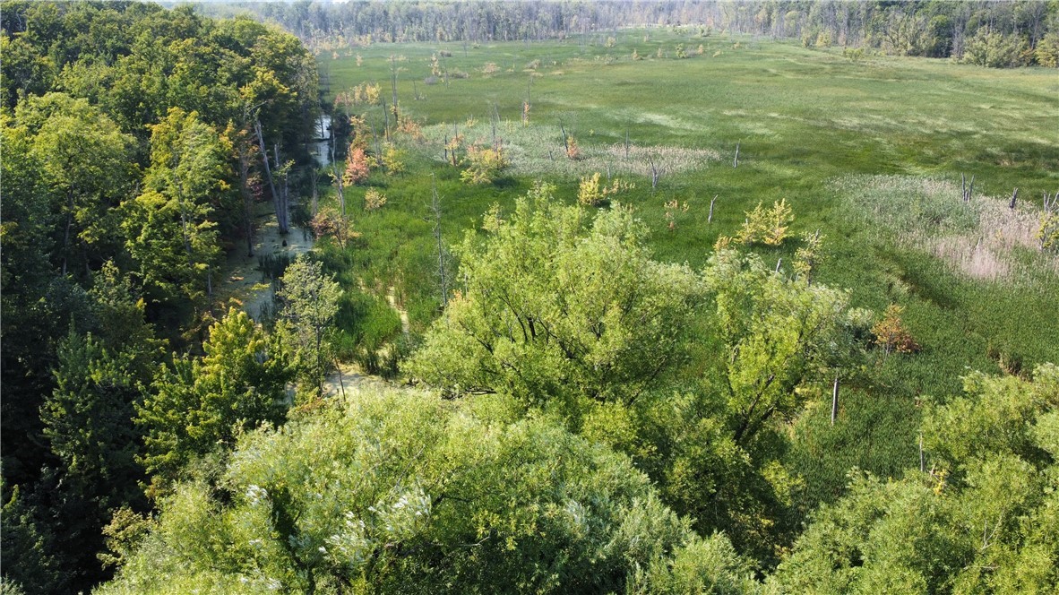 South Centenary Road Sodus, NY 14551 - Photo 22 of 30