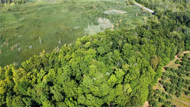 $40,000 | South Centenary Road, Sodus, NY 14551