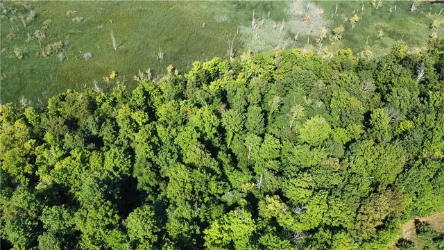 $40,000 | South Centenary Road, Sodus, NY 14551