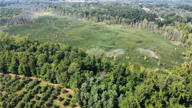 $40,000 | South Centenary Road, Sodus, NY 14551