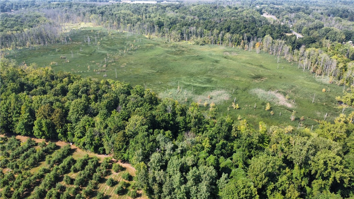 South Centenary Road Sodus, NY 14551 - Photo 26 of 30