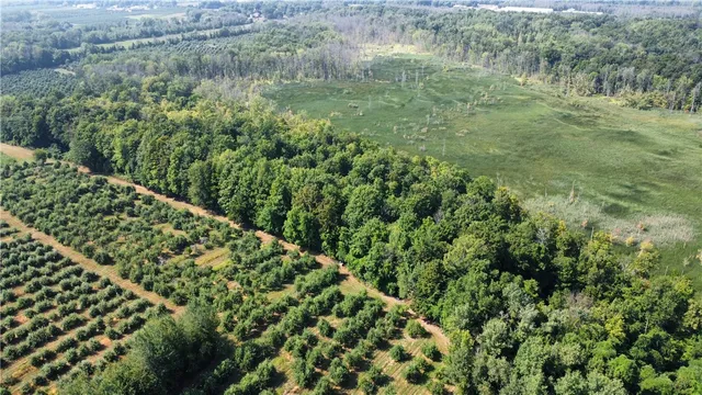 $40,000 | South Centenary Road, Sodus, NY 14551