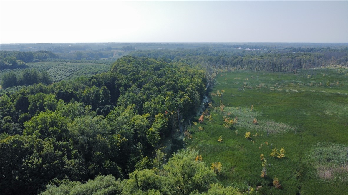 South Centenary Road Sodus, NY 14551 - Photo 28 of 30