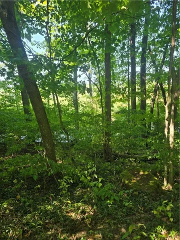 $40,000 | South Centenary Road, Sodus, NY 14551