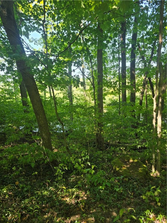 South Centenary Road Sodus, NY 14551 - Photo 29 of 30