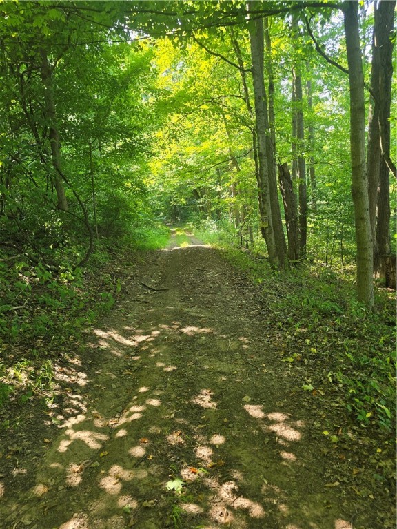 South Centenary Road Sodus, NY 14551 - Photo 30 of 30