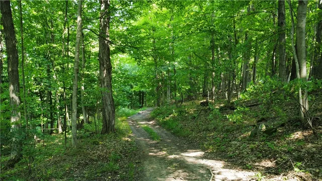 $40,000 | South Centenary Road, Sodus, NY 14551
