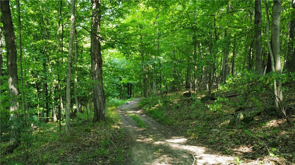 South Centenary Road Sodus, NY 14551 - Photo 3 of 30