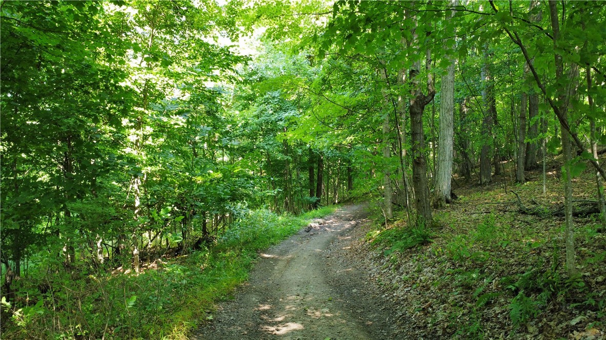 South Centenary Road Sodus, NY 14551 - Photo 4 of 30