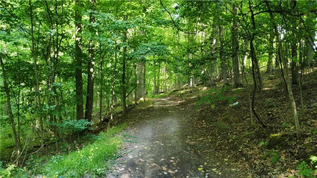 $40,000 | South Centenary Road, Sodus, NY 14551