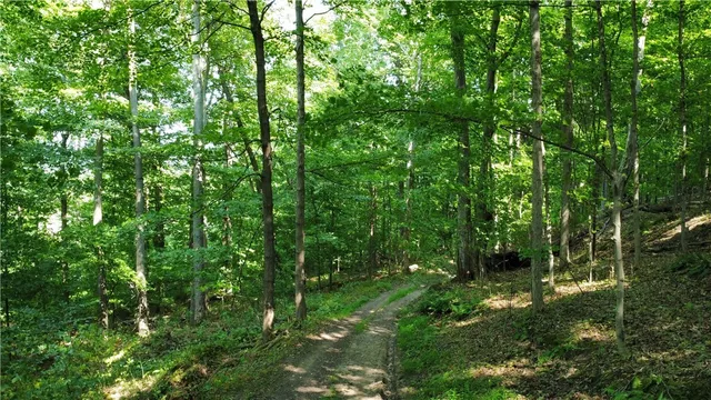 $40,000 | South Centenary Road, Sodus, NY 14551