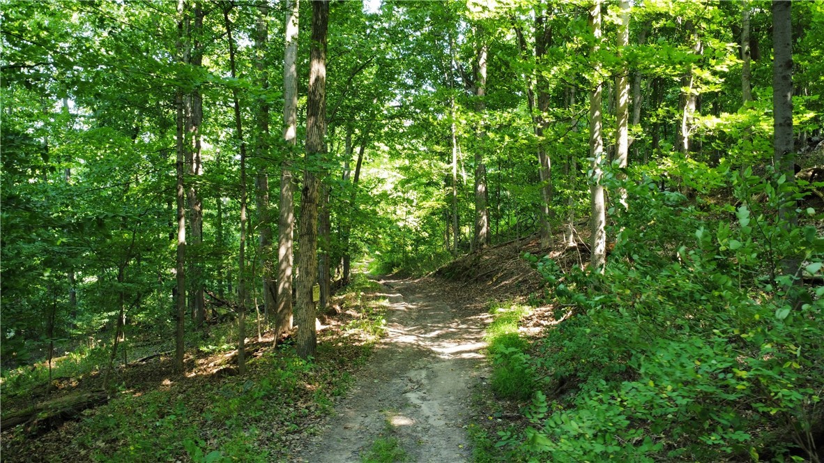 South Centenary Road Sodus, NY 14551 - Photo 7 of 30