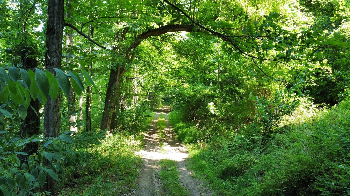 South Centenary Road Sodus, NY 14551 - Photo 8 of 30