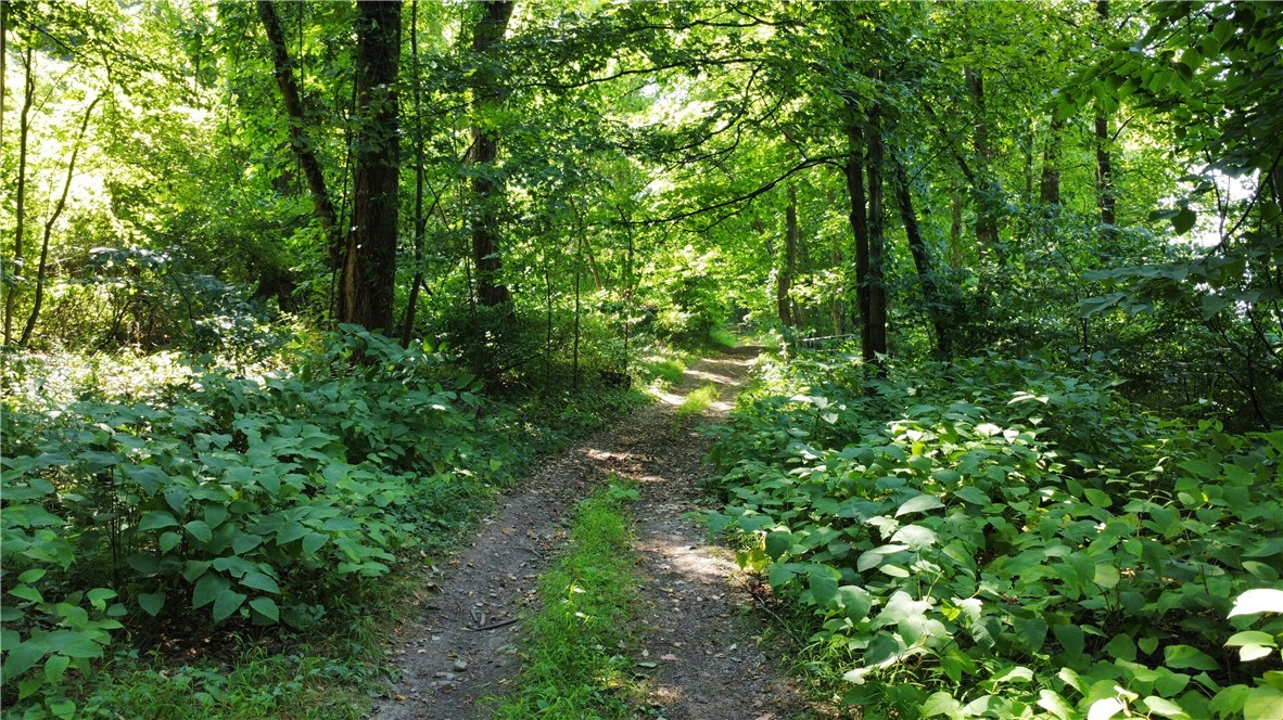 South Centenary Road Sodus, NY 14551 - Photo 9 of 30