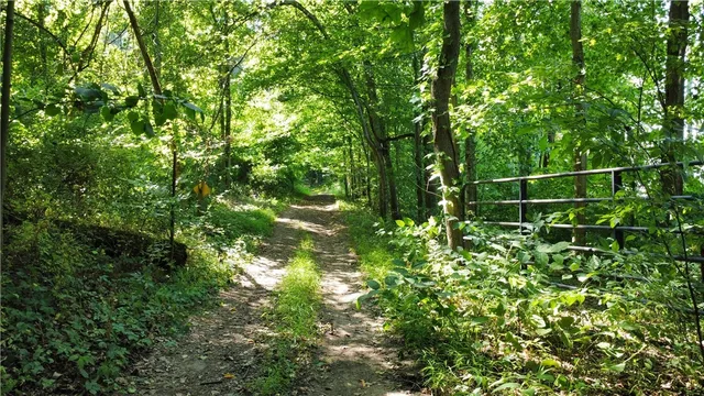 $40,000 | South Centenary Road, Sodus, NY 14551