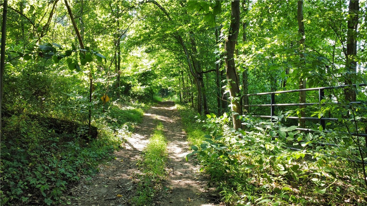 South Centenary Road Sodus, NY 14551 - Photo 10 of 30