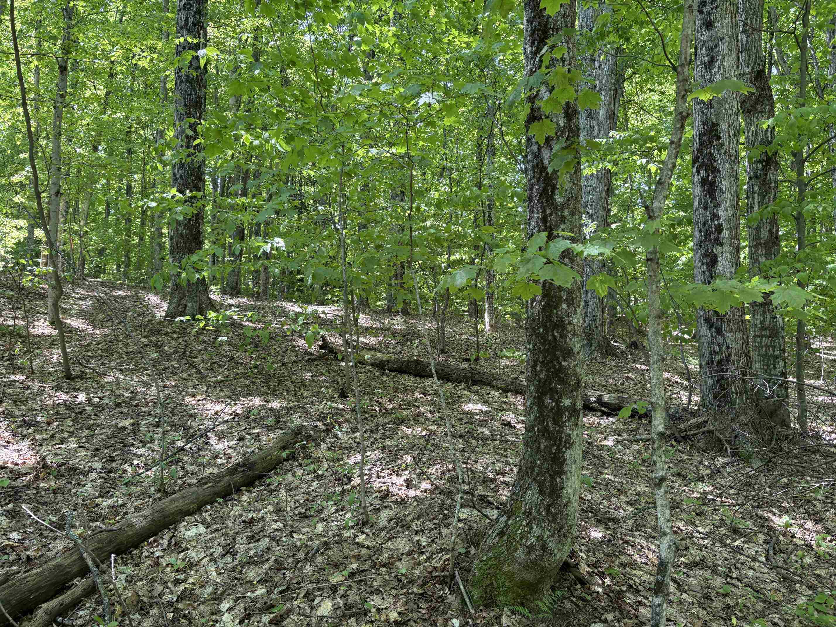13631 Beaver Pond Road Empire, MI 49630 - Photo 15 of 55