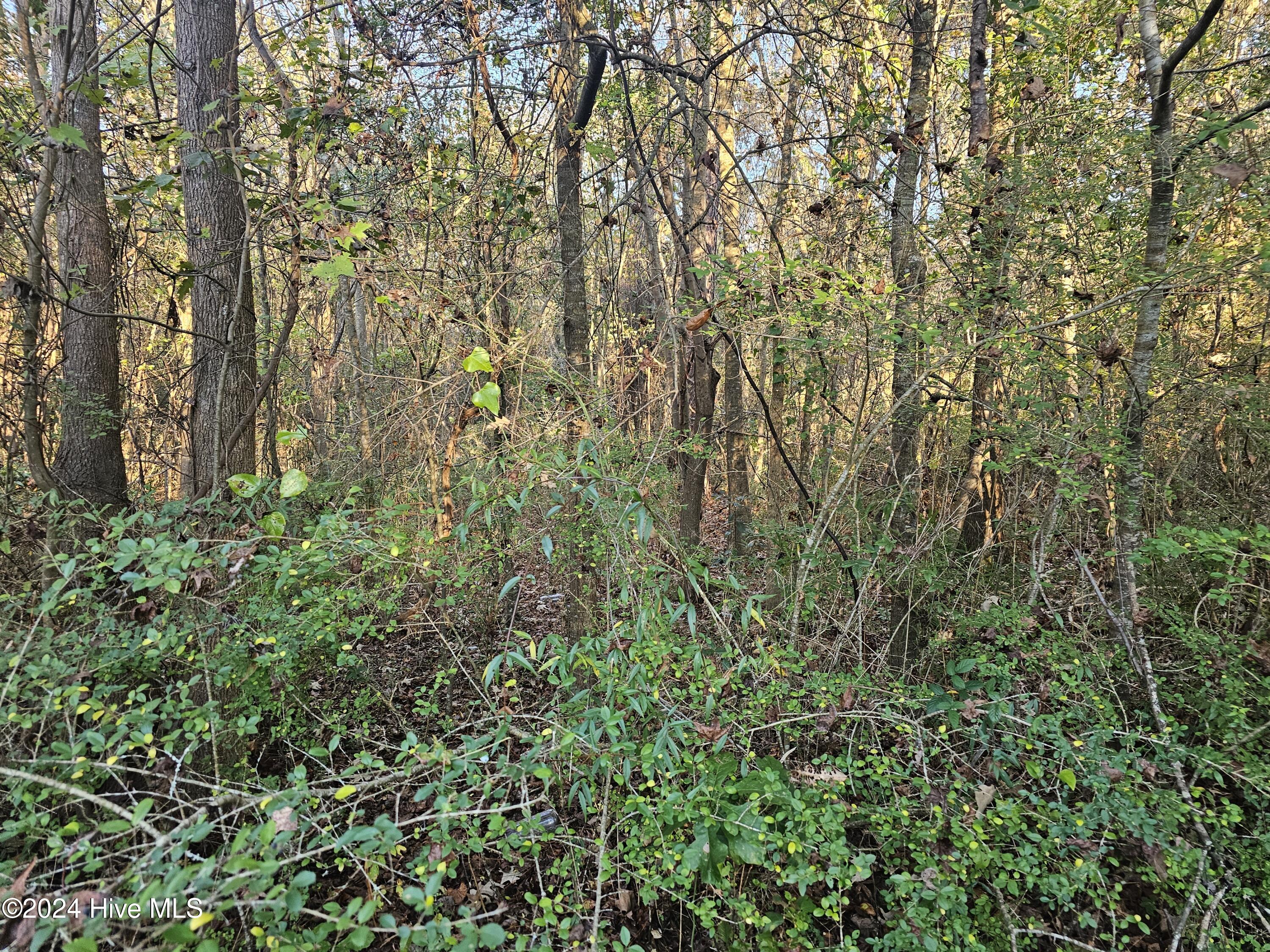0 Porters Lane Road Rocky Point, NC 28457 - Photo 12 of 14 20241116_160439