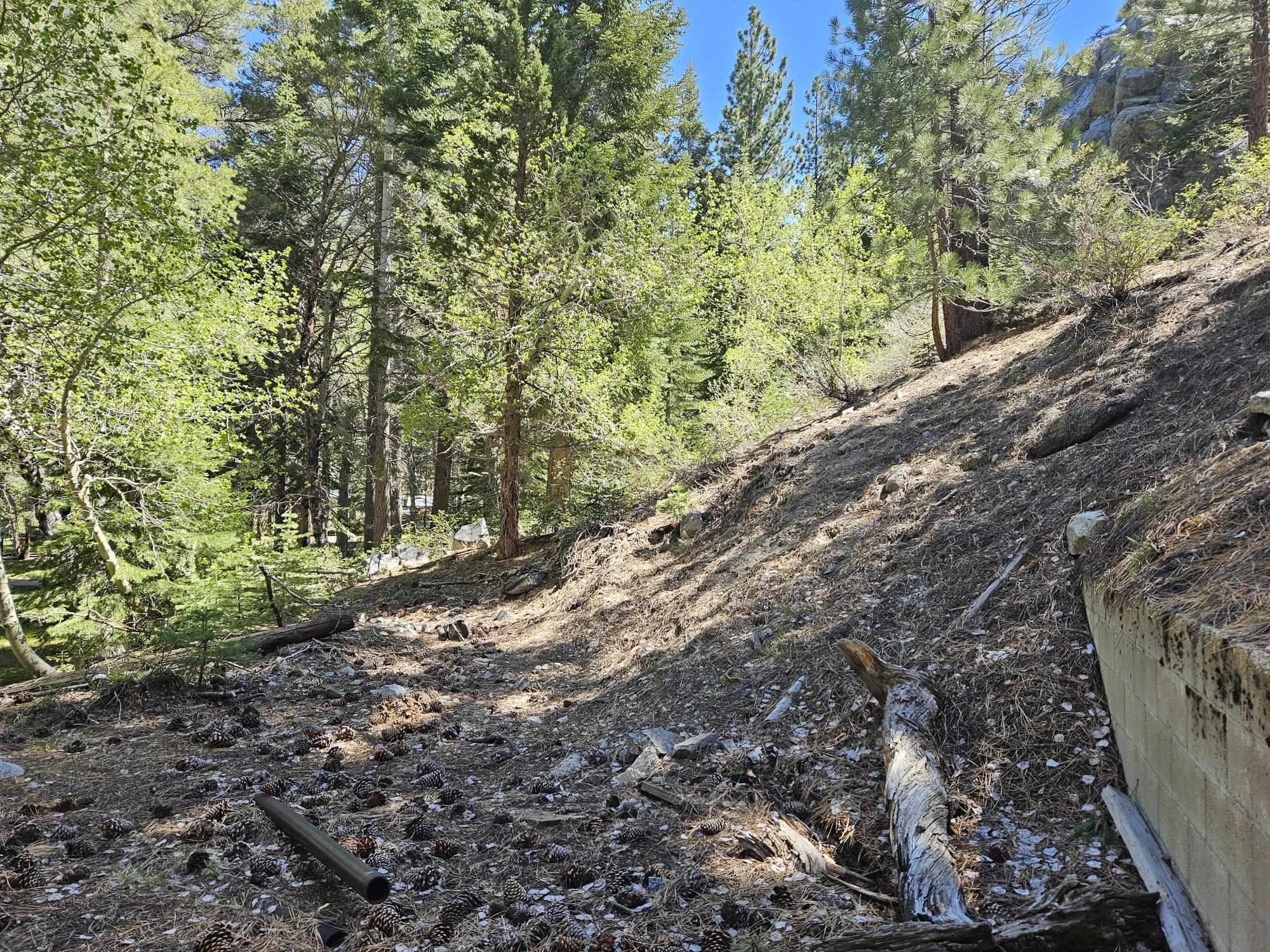 Lot 22 Aspen Road June Lake, CA 93529 - Photo 11 of 19