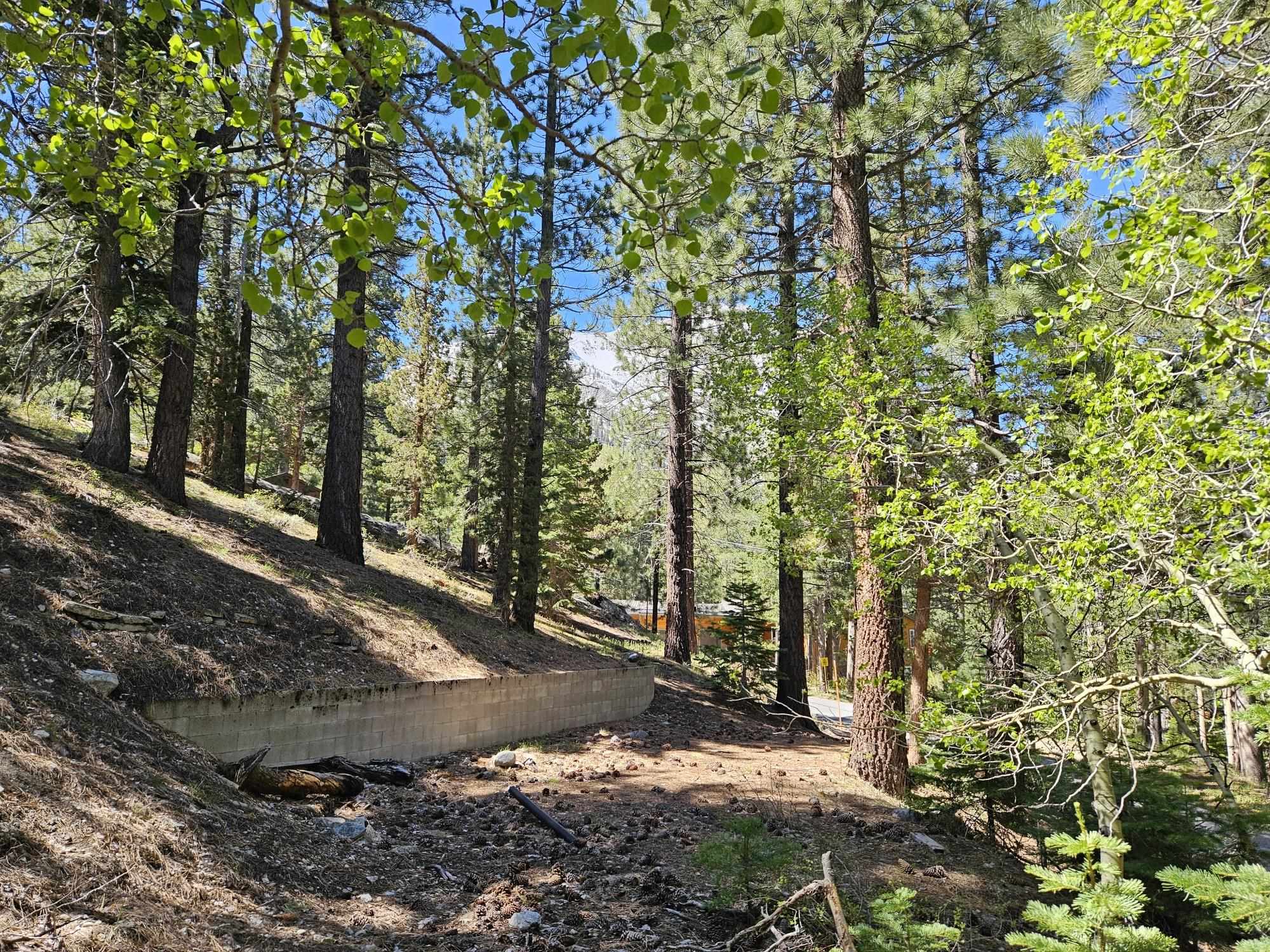 Lot 22 Aspen Road June Lake, CA 93529 - Photo 12 of 19