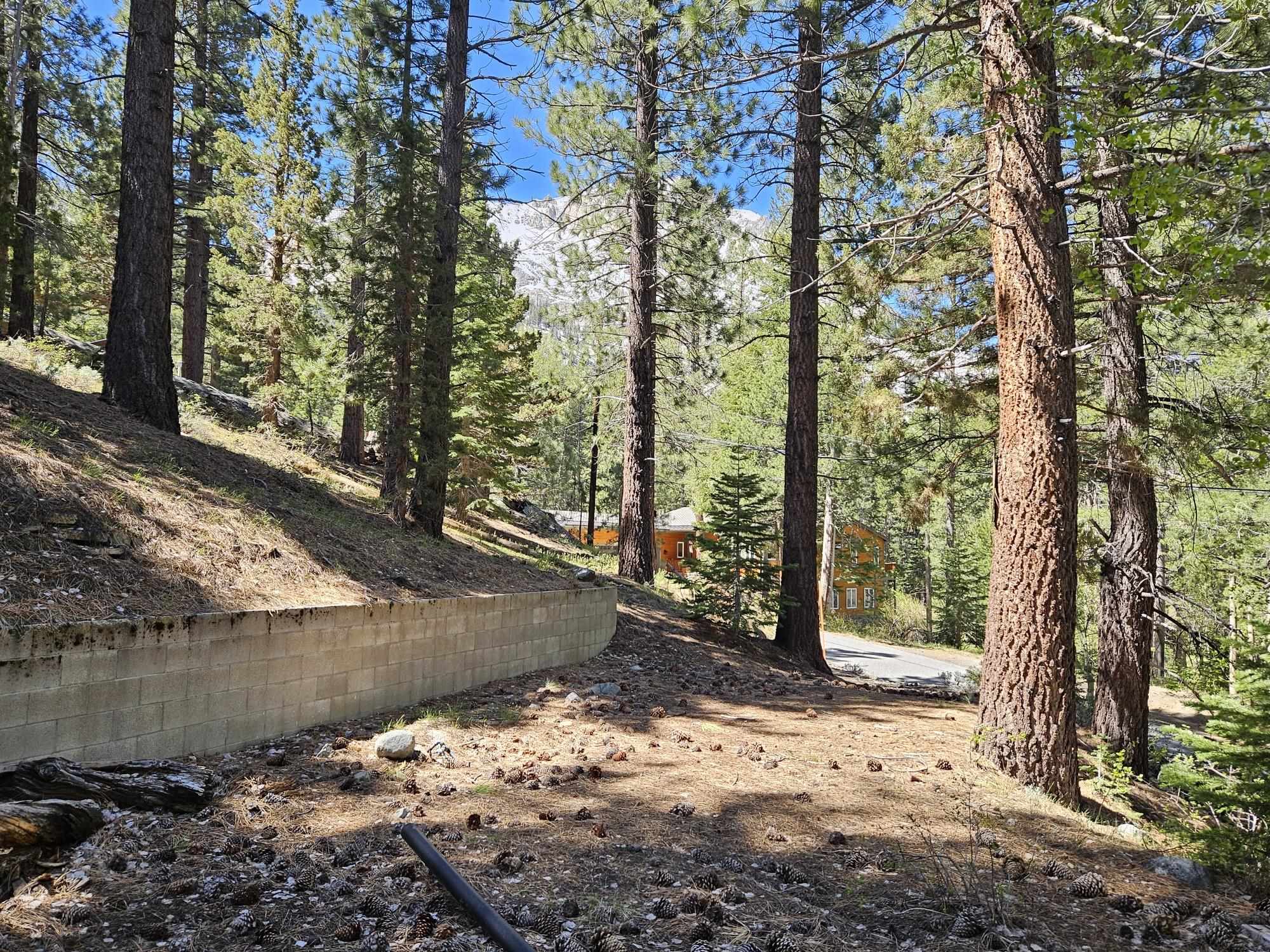 Lot 22 Aspen Road June Lake, CA 93529 - Photo 13 of 19
