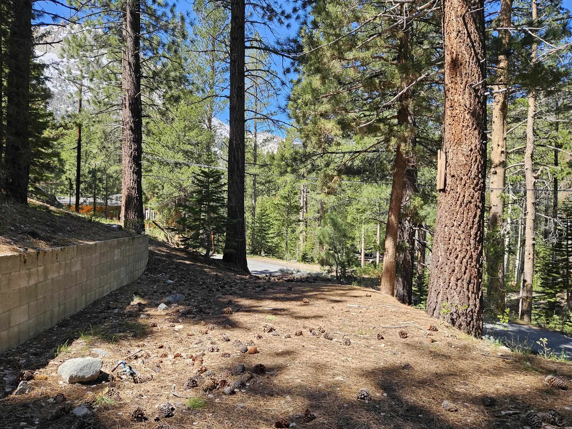 Lot 22 Aspen Road June Lake, CA 93529 - Photo 14 of 19