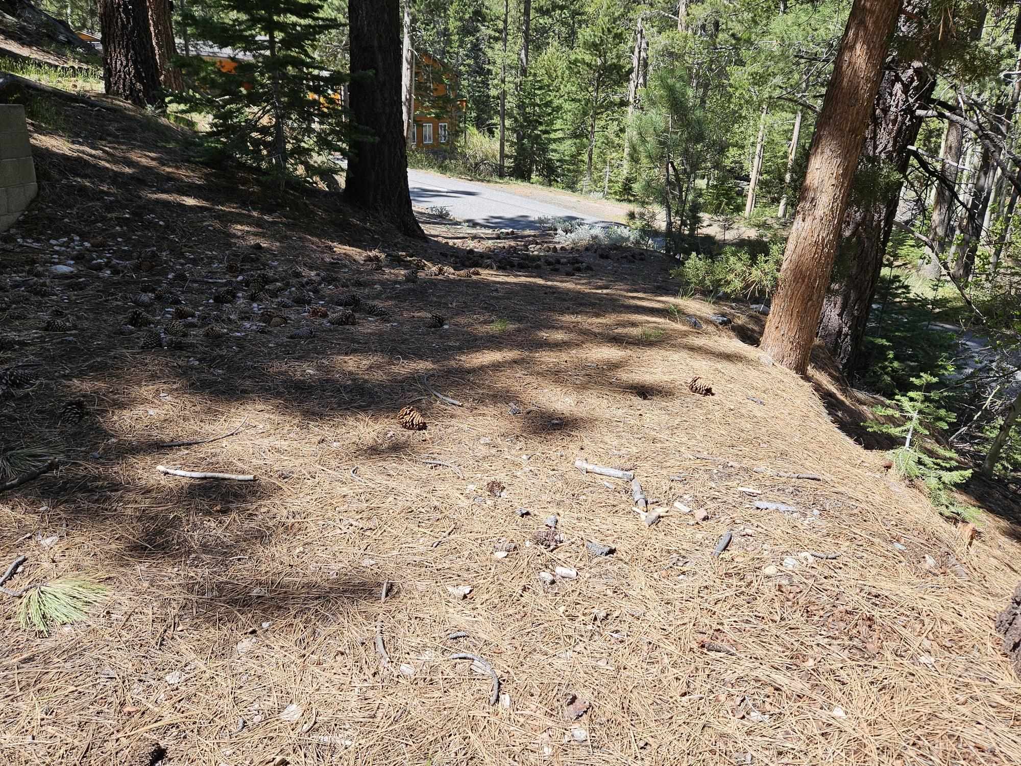 Lot 22 Aspen Road June Lake, CA 93529 - Photo 15 of 19