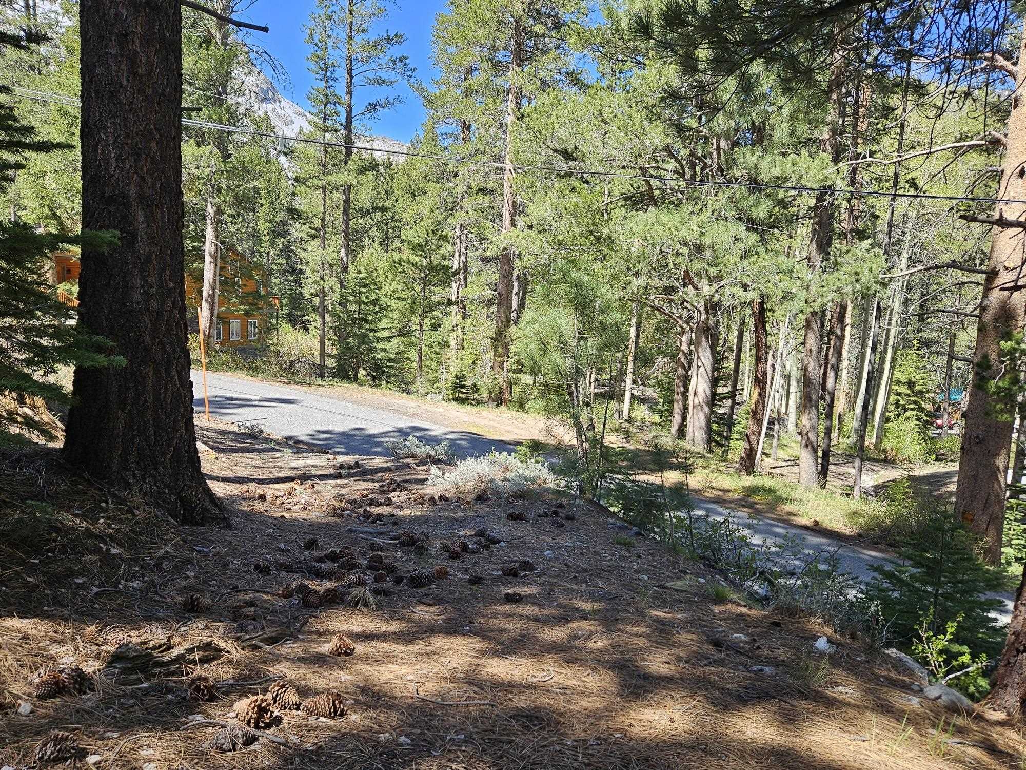 Lot 22 Aspen Road June Lake, CA 93529 - Photo 16 of 19